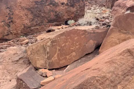 Gravures rupestres à Twyfelfontein - Namibie