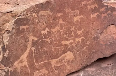 Gravures rupestres à Twyfelfontein - Namibie