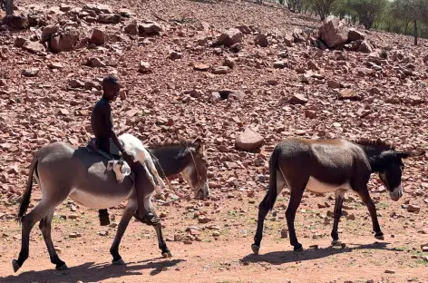 Sur la route d'Epupa - Namibie