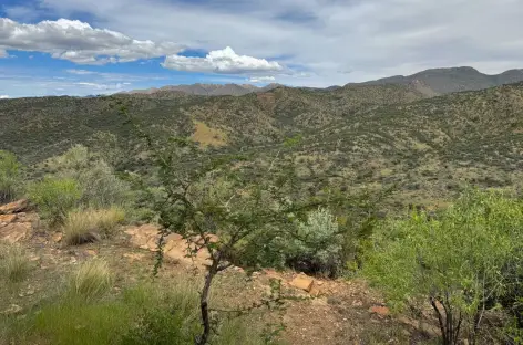 Hauteurs de Windhoek - Namibie