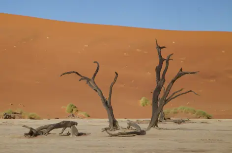 Dépression de Deadvlei - Namibie