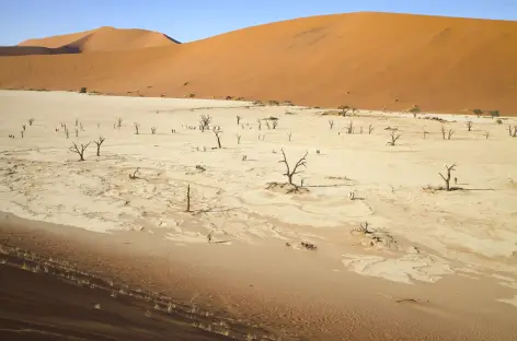 Dépression de Deadvlei - Namibie