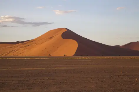 Dune 45 - Namibie