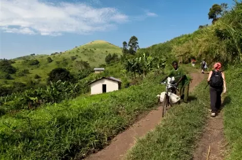 Randonnée vers les lacs de cratère de Kasinda - Ouganda