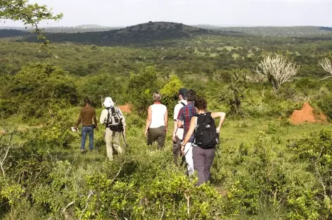 Safari à pied dans le Parc national du Lac Mburo - Ouganda