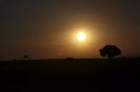 Coucher de soleil sur la savane africaine - Ouganda