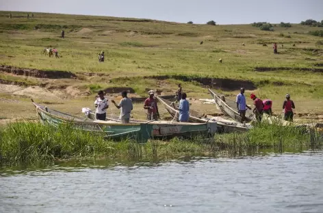 Sur les rives du Kazinga Channel, parc de Queen Elizabeth - Ouganda