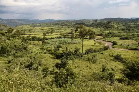Au sud du Parc national de Queen Elizabeth - Ouganda