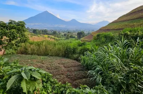 Cratère de Sagitwe et volcans Virunga en arrière-plan - Ouganda