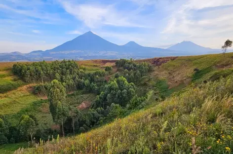 Cratère de Sagitwe et volcans Virunga en arrière-plan - Ouganda