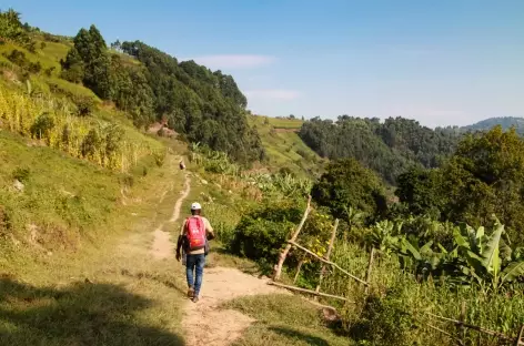 Randonnée vers Nkuringo, en bordure du Parc national de Bwindi - Ouganda