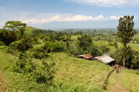 Campagne ougandaise - Ouganda