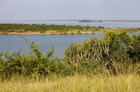 Kazinga Channel, Parc national de Queen Elizabeth - Ouganda