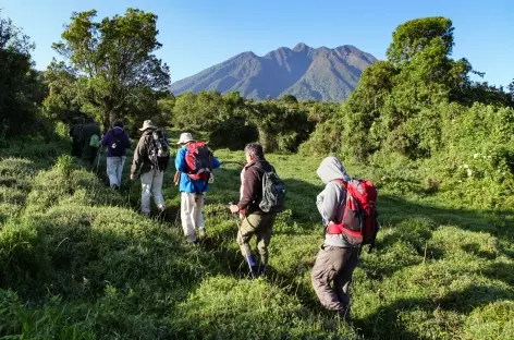 Ascension du volcan Sabinyo ( 3634 m), Parc national Mgahinga - Ouganda