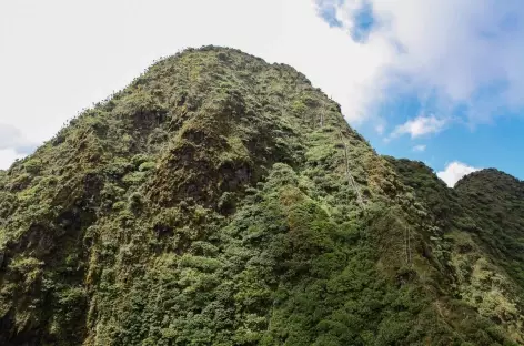 Ascension du volcan Sabinyo ( 3634 m), Parc national Mgahinga - Ouganda