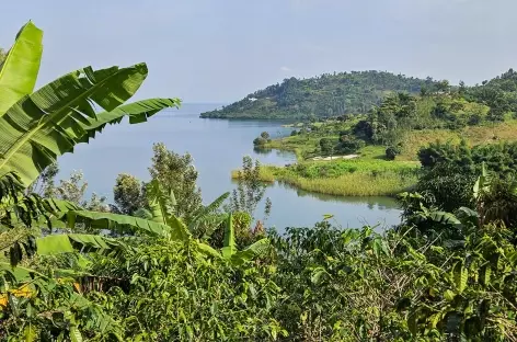 Randonnée sur le Congo Nile Trail, Lac Kivu - Rwanda