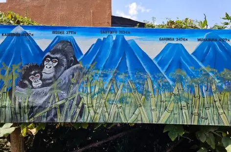 Musanze, aux portes du Parc national des Volcans - Rwanda