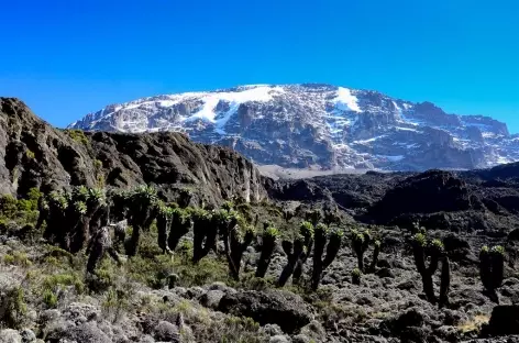 Etape entre Barranco et Barafu, Kilimanjaro - Tanzanie