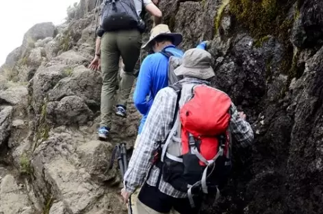 Avant de rejoindre le plateau de Shira, Kilimanjaro - Tanzanie