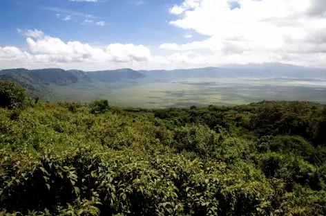 Caldeira du Ngorongoro - Tanzanie - 