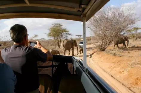 Rencontre avec les éléphants, Parc national du Serengeti - Tanzanie