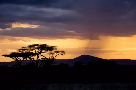 Coucher de soleil dans le Serengeti - Tanzanie