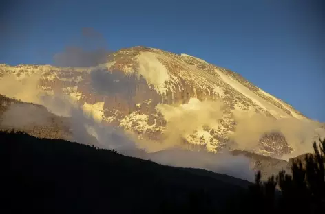 Kilimanjaro au coucher du soleil depuis notre camp de Shira (3800 m) - Tanzanie