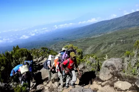 Etape entre Machame Camp et le plateau de Shira au Kilimanjaro - Tanzanie