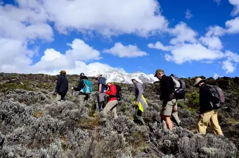 Avant le plateau de Shira, Kilimanjaro - Tanzanie