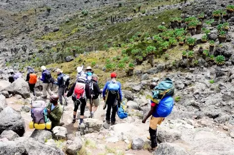 Etape entre Barranco et Karanga, Kilimanjaro - Tanzanie