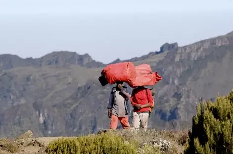 Portage sur la tête, Kilimanjaro - Tanzanie