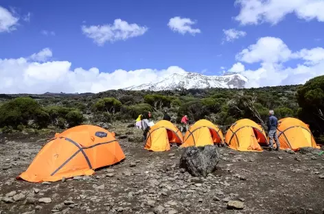 Notre camp au plateau de Shira (3800 m), Kilimanjaro - Tanzanie