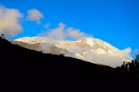 Sommet depuis le camp de Shira, Kilimanjaro - Tanzanie