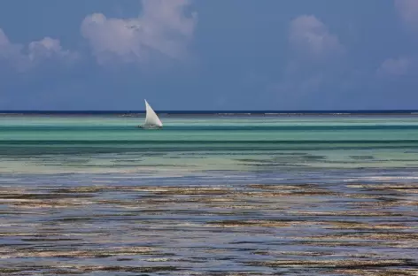 Côte est de Zanzibar - Tanzanie - 