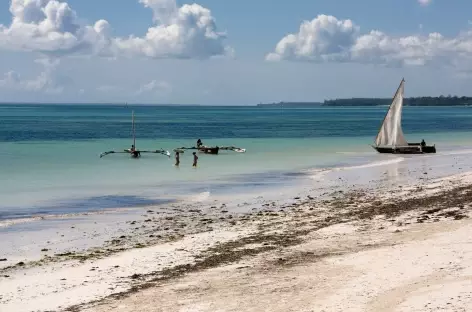 Côte est de Zanzibar - Tanzanie - 
