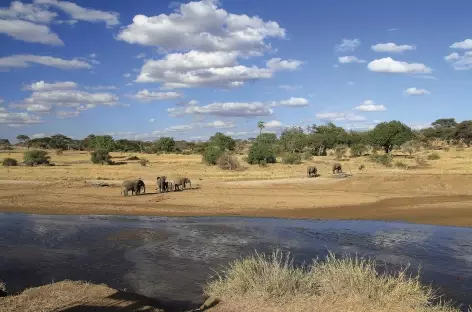 Eléphants, Parc national du Tarangire - Tanzanie