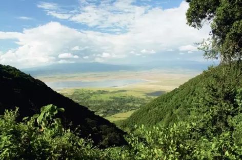 Caldeira du Ngorongoro - Tanzanie