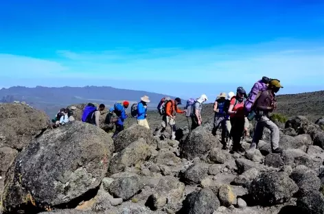 Trek entre Shira et Barranco, Kilimanjaro - Tanzanie