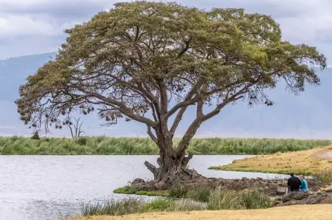 Caldeira du Ngorongoro - Tanzanie