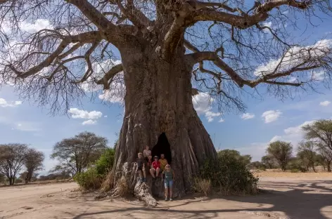 Baobab dans le parc du Tarangire - Tanzanie