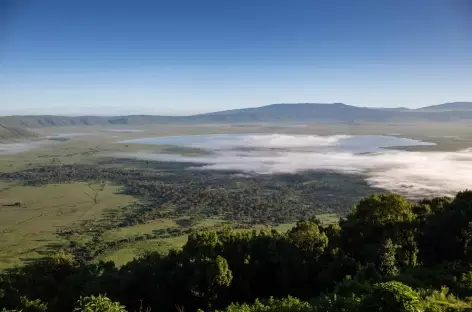 Caldeira du Ngorongoro - Tanzanie