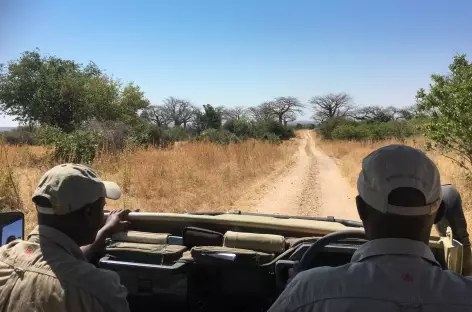 Safari dans le Parc national de Ruaha - Tanzanie