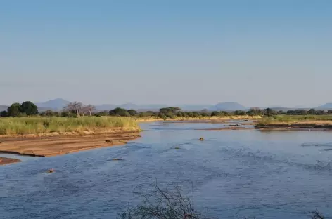 Rivière Ruaha - Tanzanie