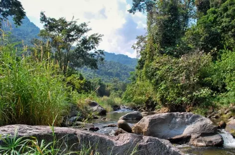 Parc national de Gombe - Tanzanie