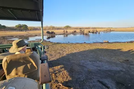 Safari dans le Parc national de Hwange - Zimbabwe