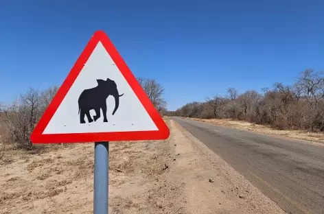 Aux abords du Parc national de Hwange - Zimbabwe