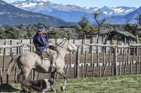 Gaucho et son fidèle chien à l'estancia Nibepo Aike - Argentine