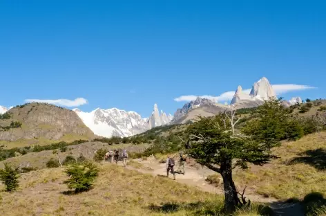 Balade vers la laguna Torre - Argentine