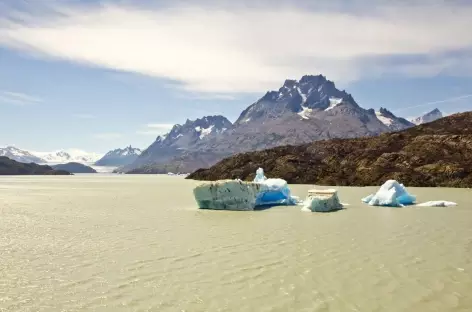 Icebergs sur le lac Grey - Chili