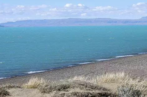 Au bord du lac Argentino - Argentine